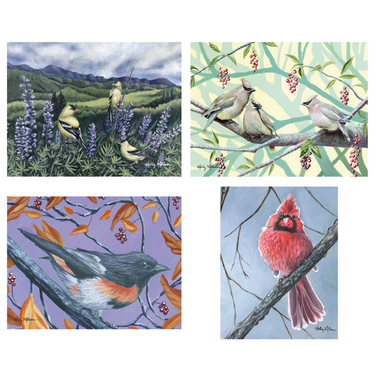 Songbird All-Occasion Boxed Notecard Set | 4 Card Set