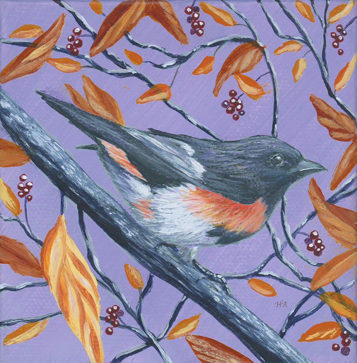 Songbird All-Occasion Boxed Notecard Set | 4 Card Set
