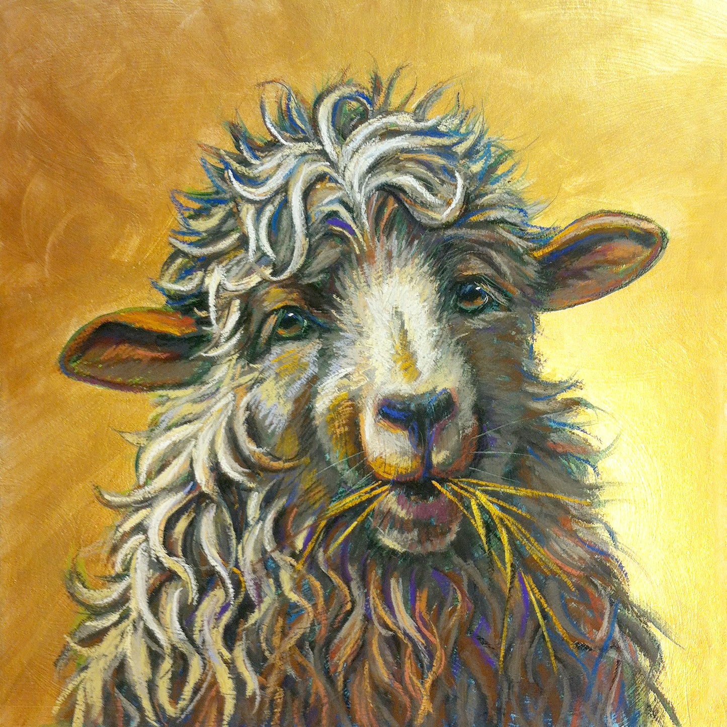 Sheep Variety All-Occasion Blank Boxed Notecard Set | 4 Card Set