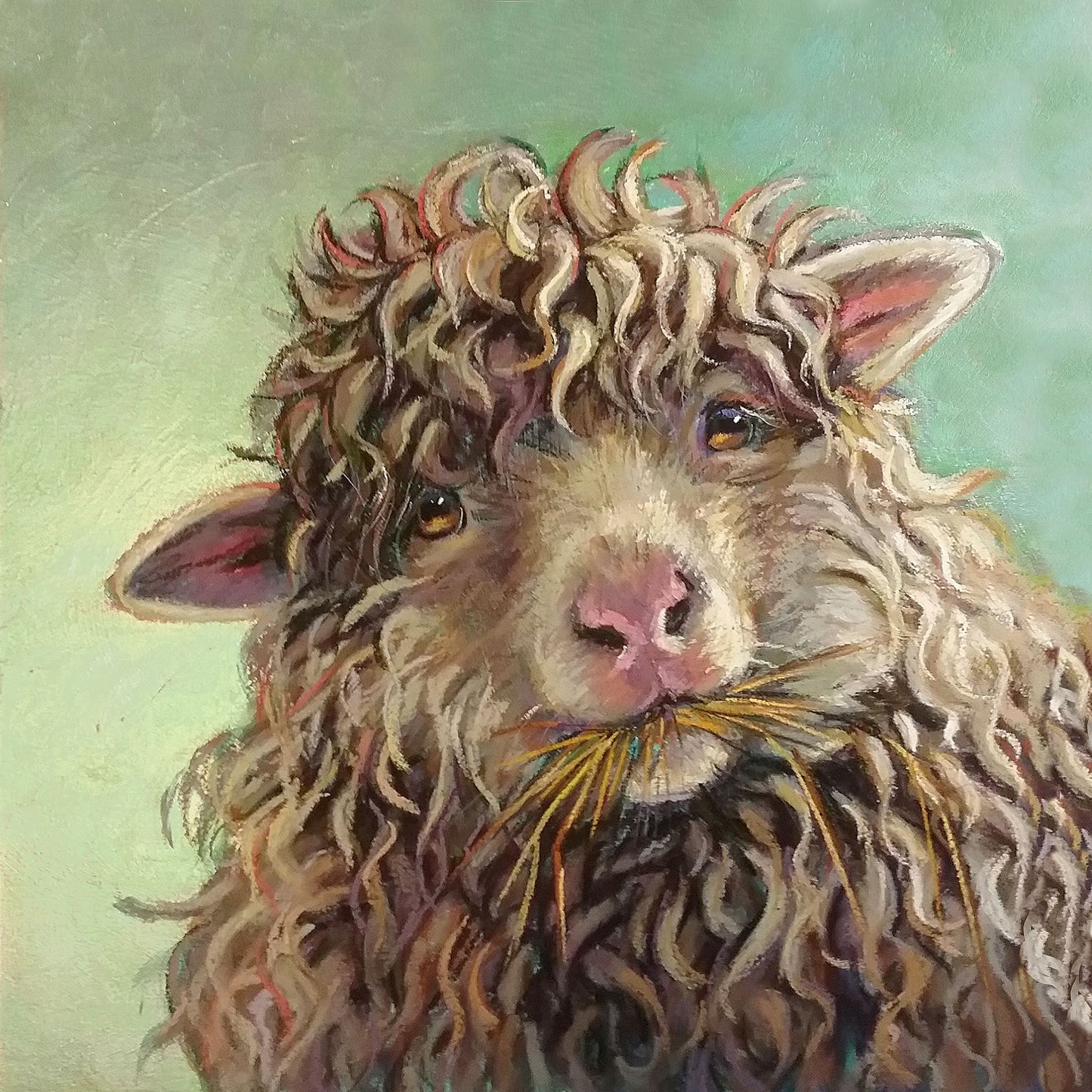Sheep Variety All-Occasion Blank Boxed Notecard Set | 4 Card Set