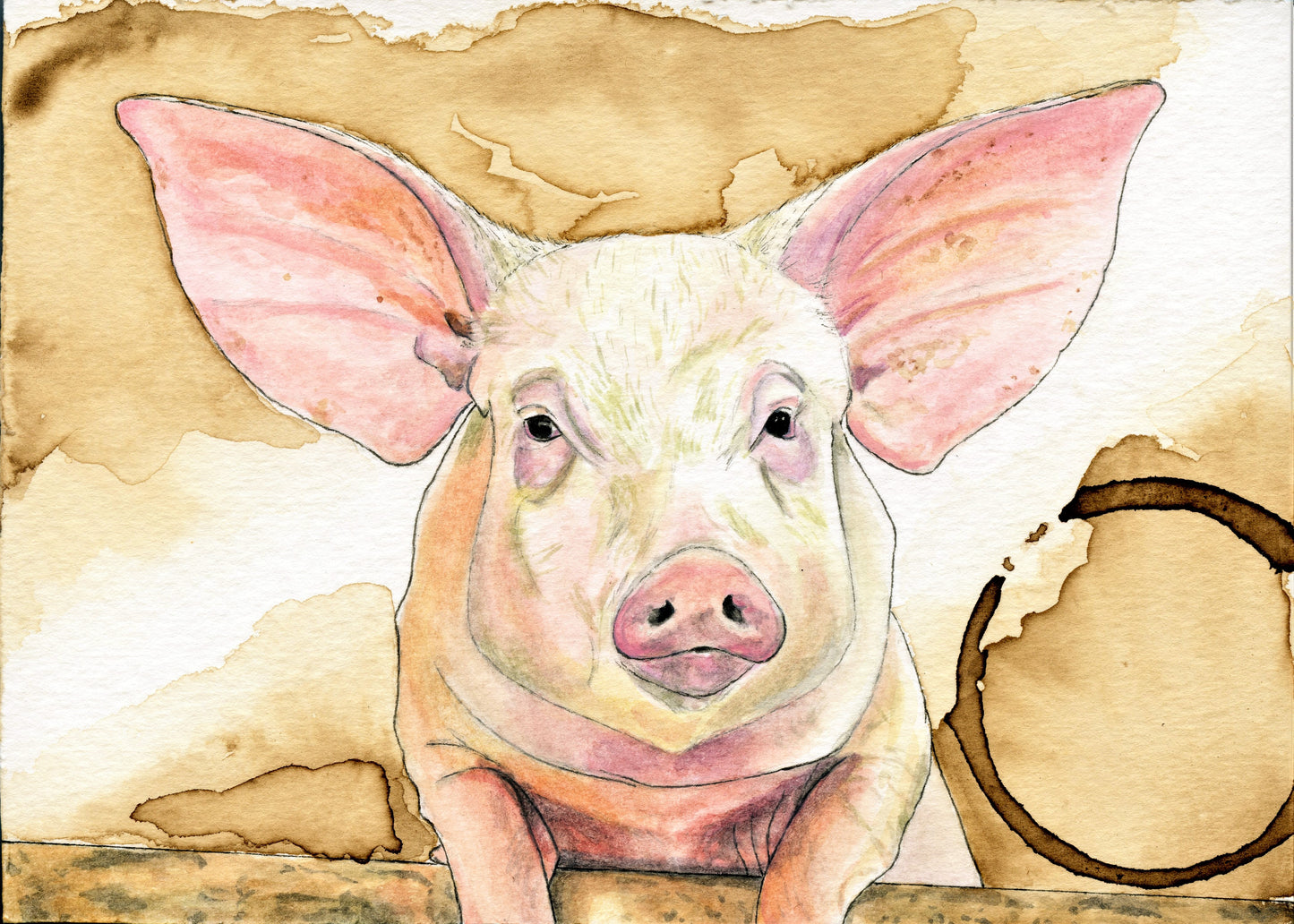 Farm Animals All-Occasion Blank Boxed Notecard Set | Chicken, Cow, Pig and Sheep Cards