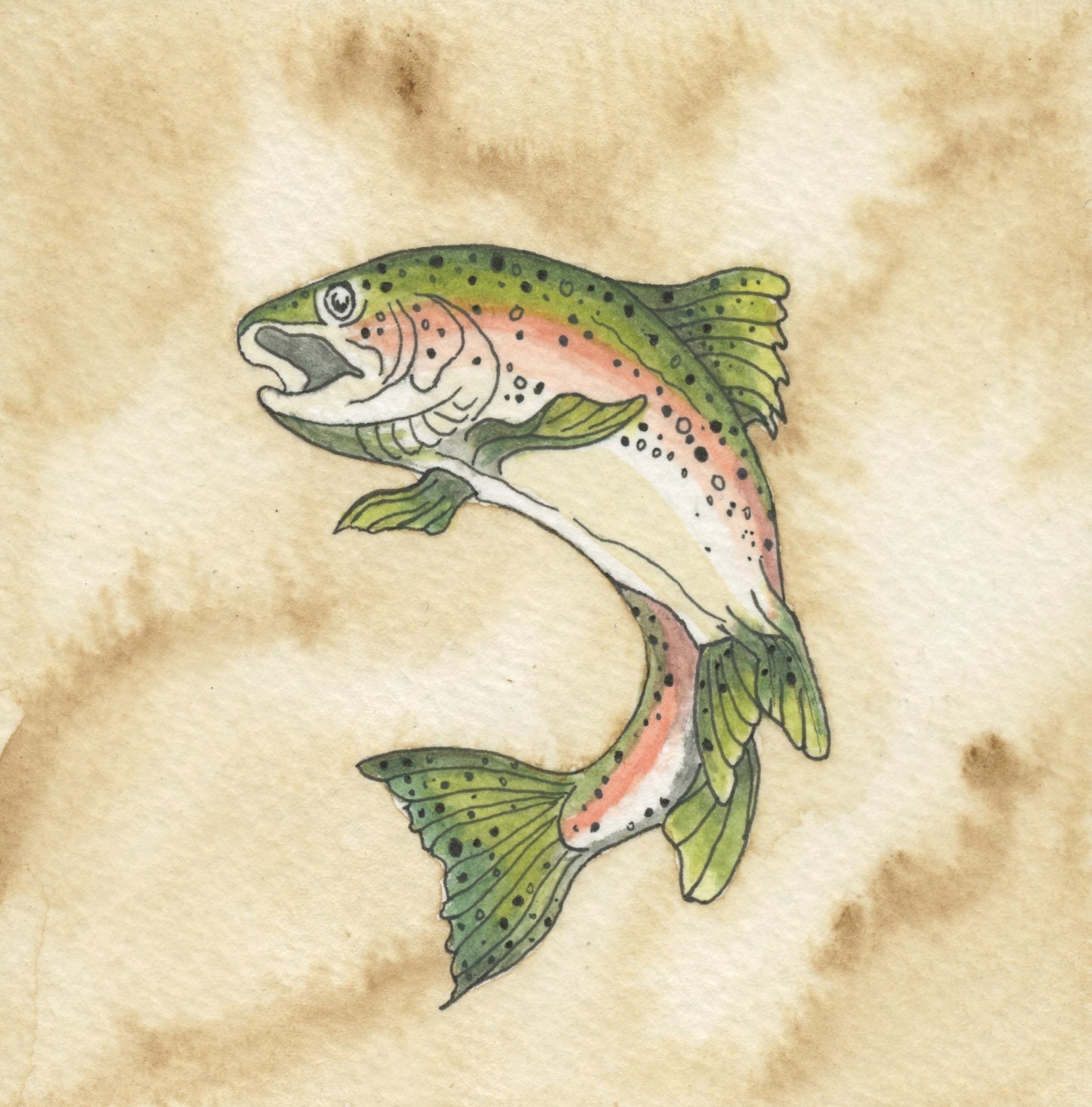 Fly Fishing All-Occasion Blank Notecard Set | 4 Card Set
