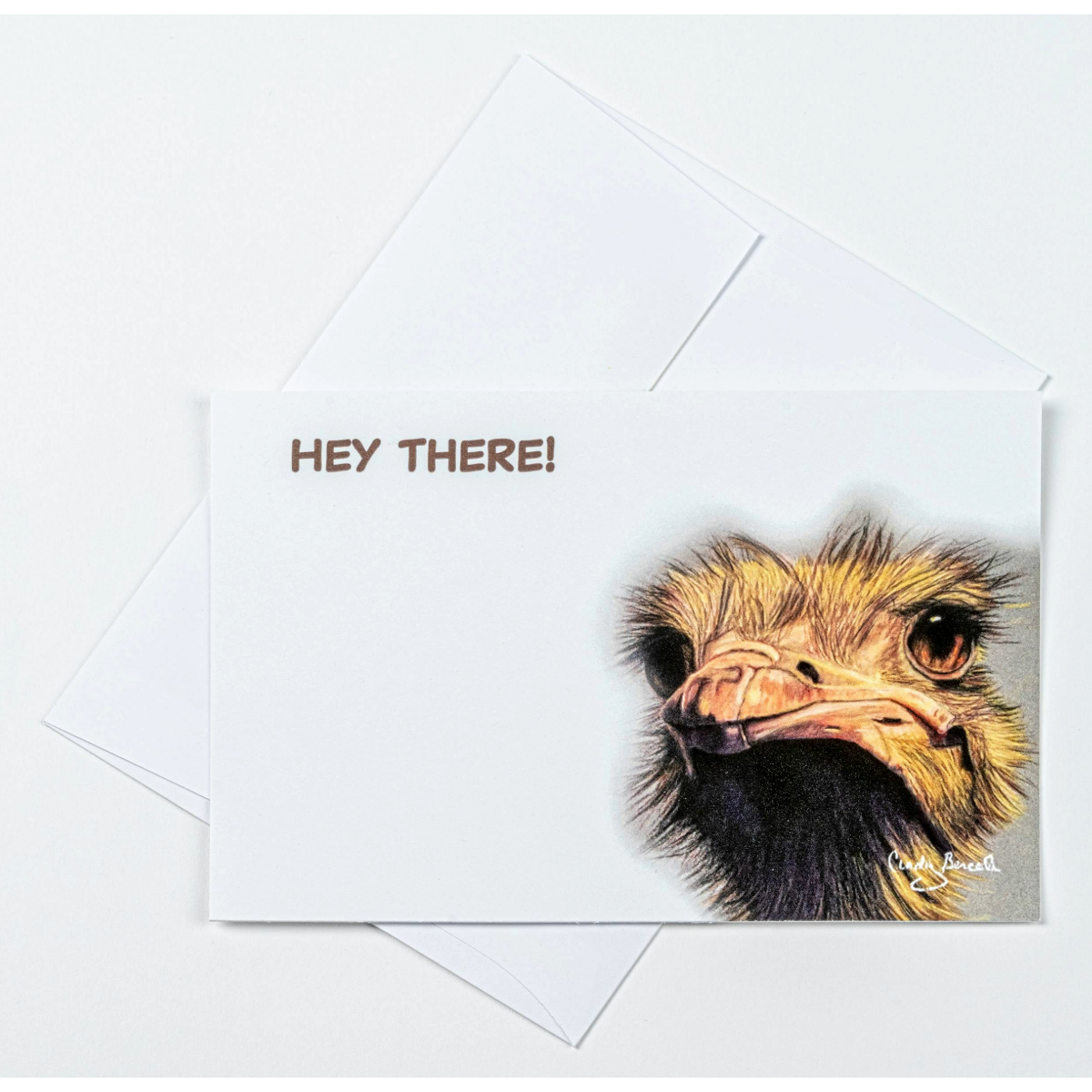 Flat Note Cards with Whimsical Ostrich Art | Set of 8 Cards and Envelopes
