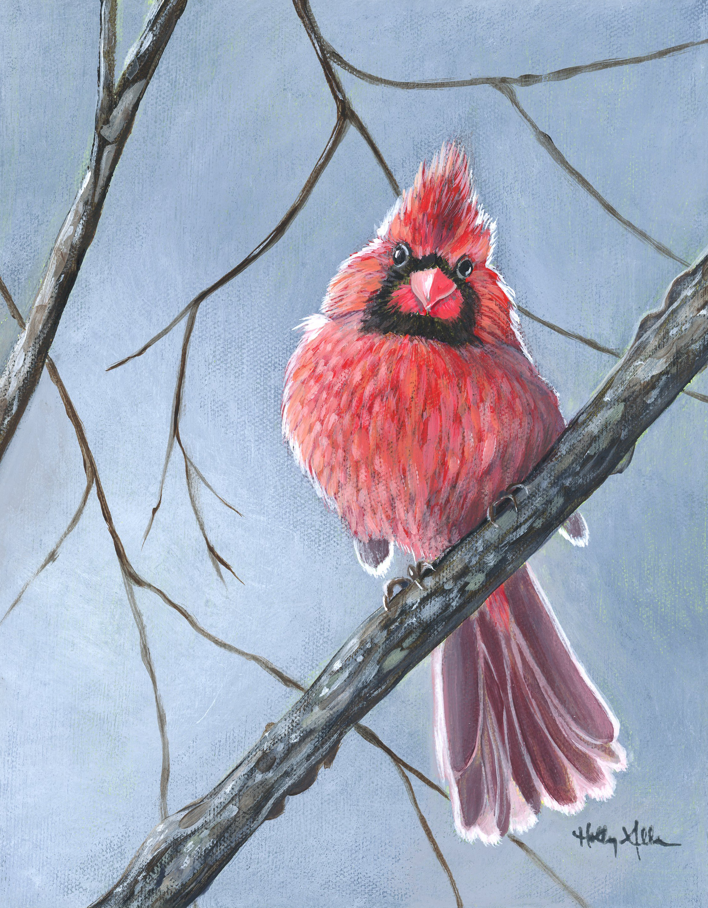 Songbird All-Occasion Boxed Notecard Set | 4 Card Set