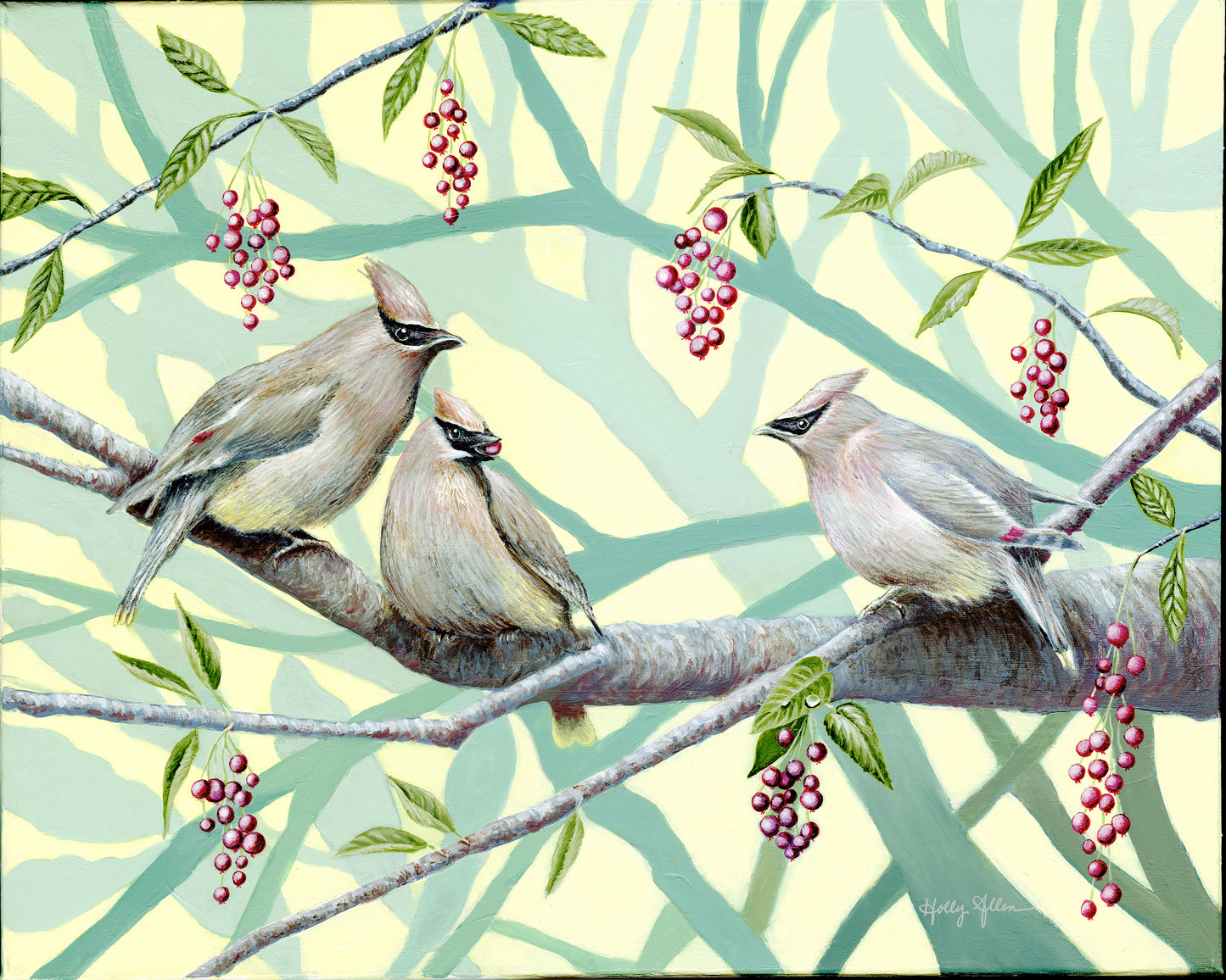 Songbird All-Occasion Boxed Notecard Set | 4 Card Set