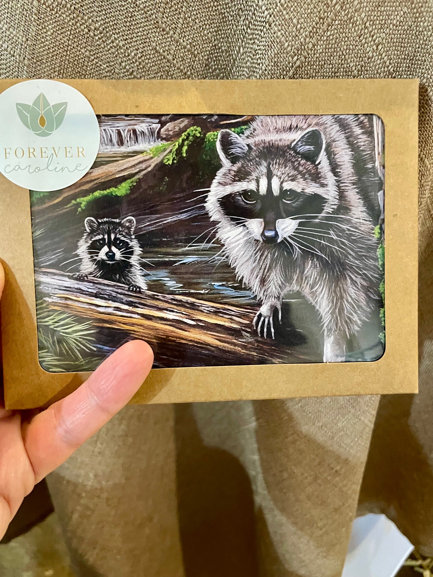 Raccoon Family All-Occasion Notecard Set | 4 Card Set