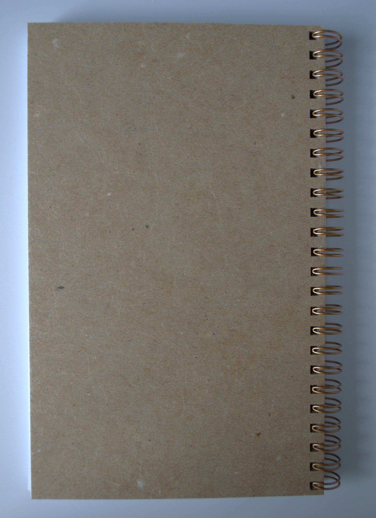 Butterflies and Flowers Elegant Journal