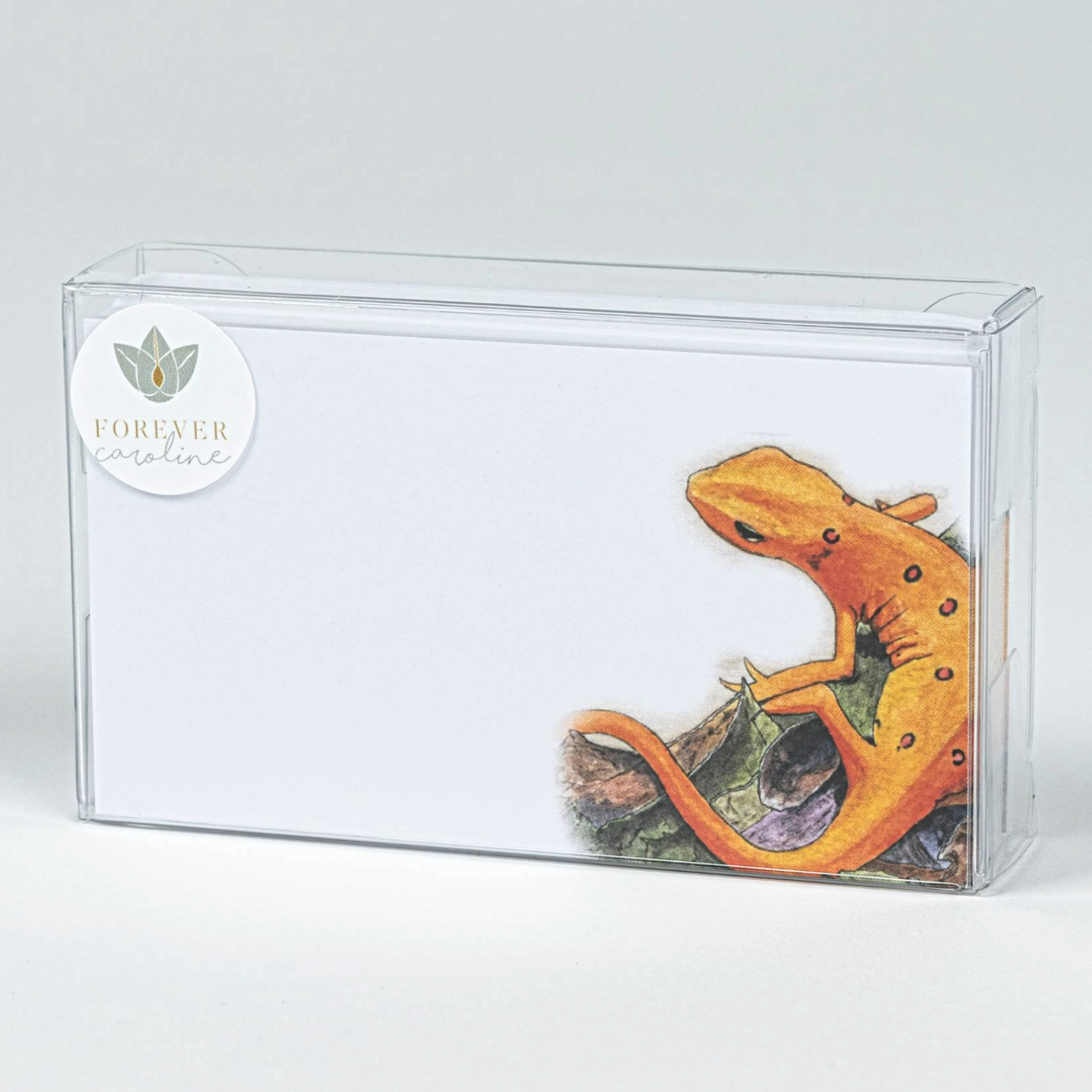 Orange Salamander "Love Notes" Pack of 60 Tiny Cards
