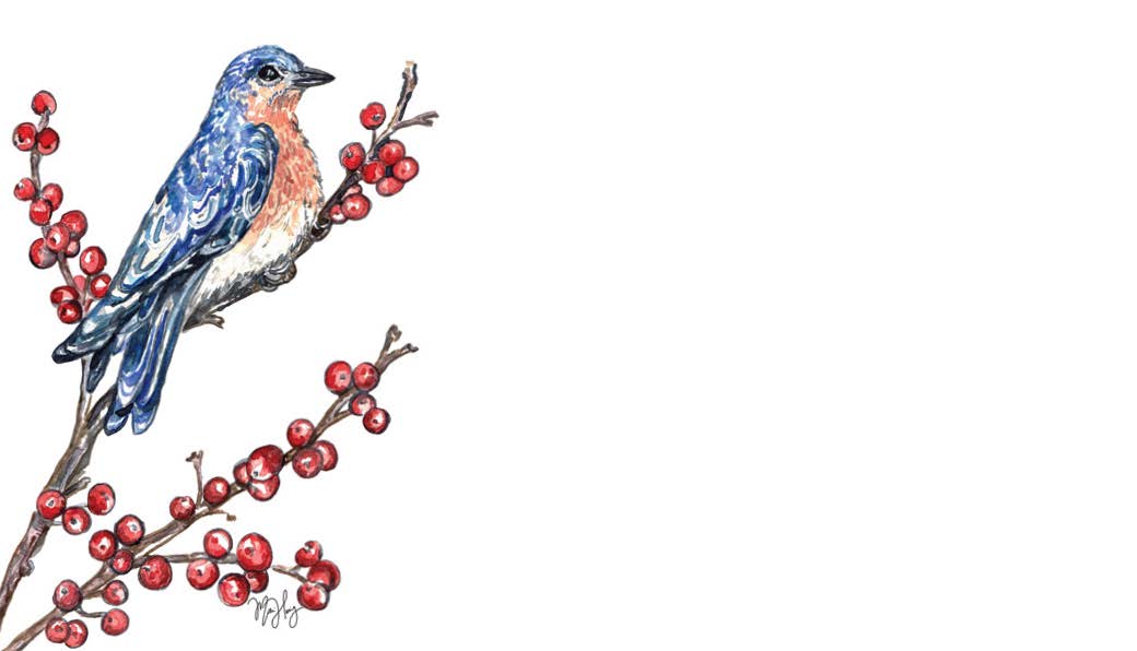 Bluebird "Love Notes" Pack of 60 Tiny Cards