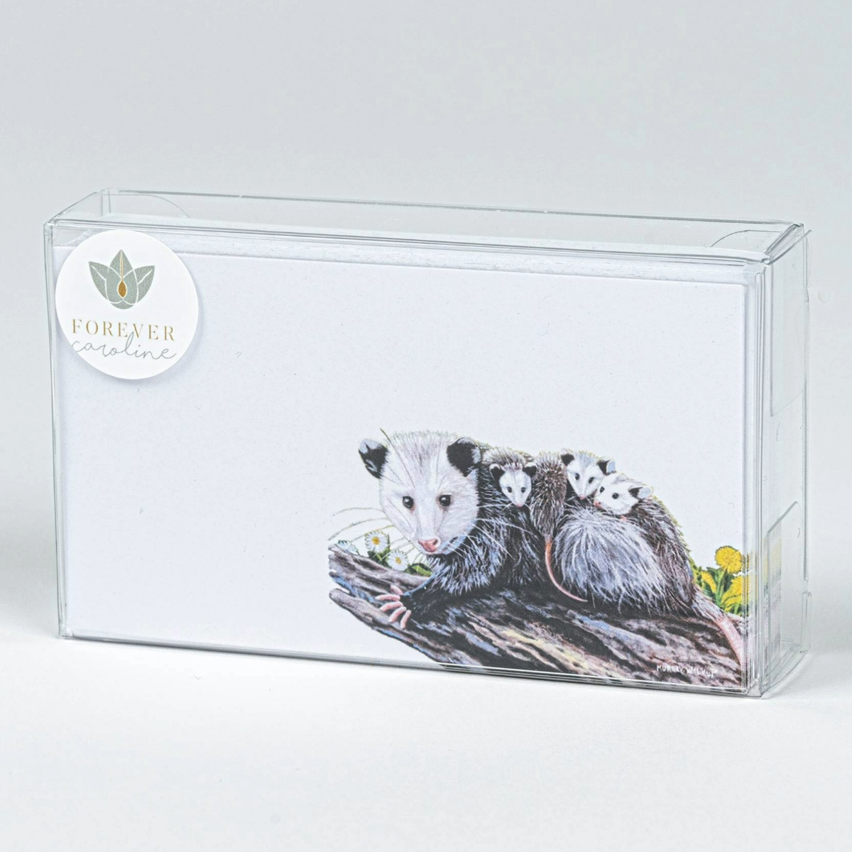 Opossum Family "Love Notes" Pack of 60 Tiny Cards