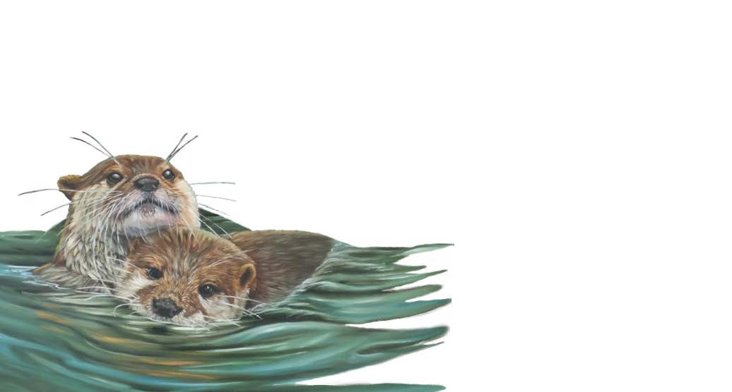 Otters "Love Notes" Pack of 60 Tiny Cards