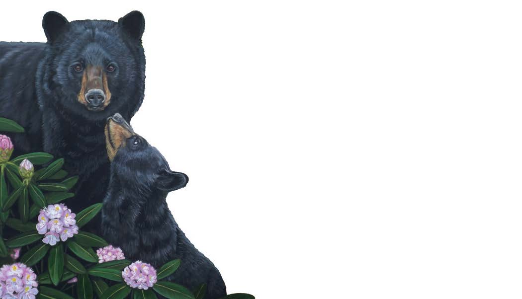 Black Bear w/ Cub Love Notes Pack of 60 Tiny Cards