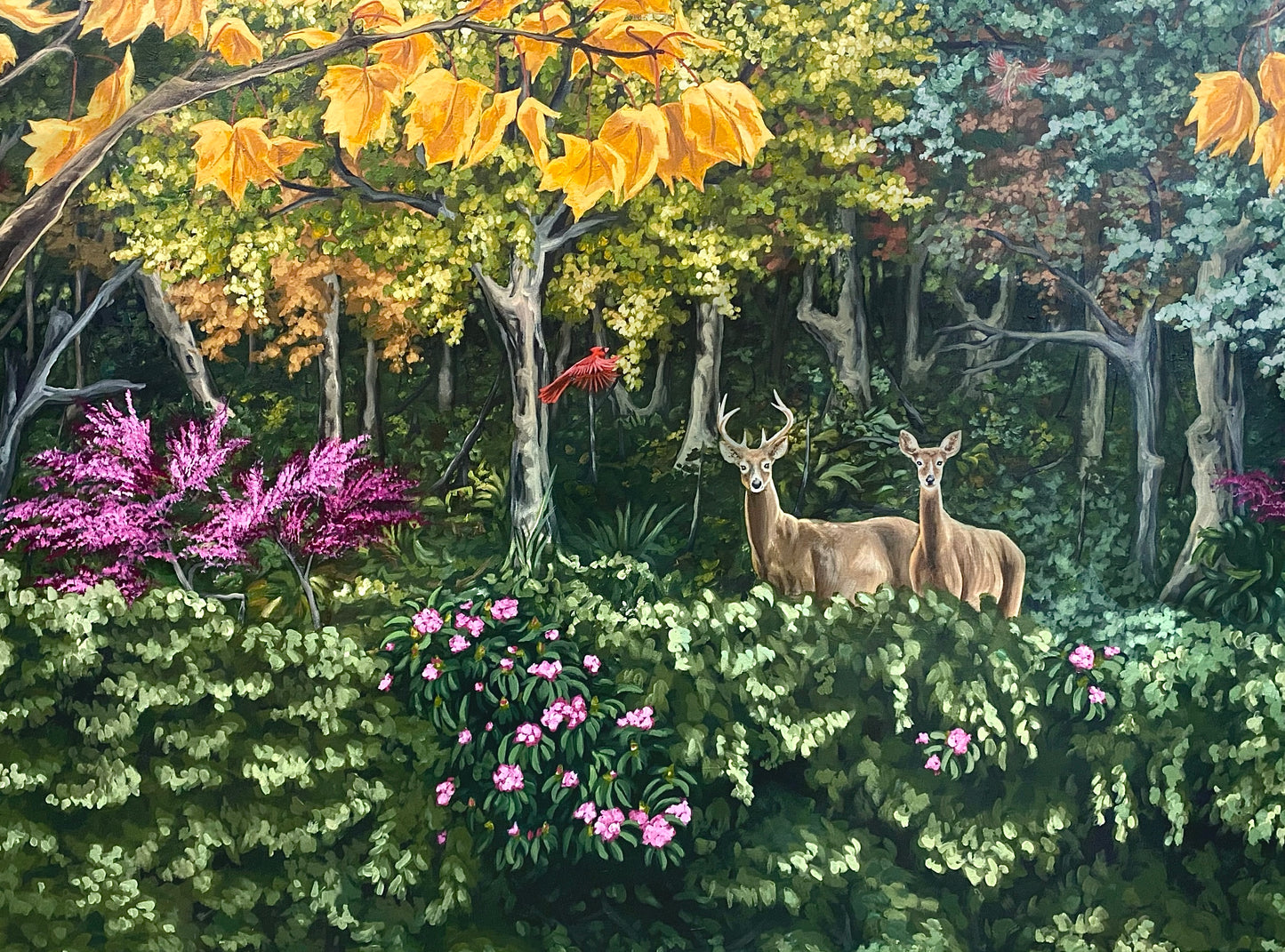 Forest Notecard Set | Deer, Black Bear, Trout, Cardinal, Lush Foliage | 4 Cards