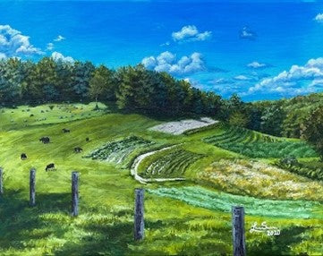 Meadows and Mountains All-Occasion Blank Boxed Notecard Set | 4 Card Set