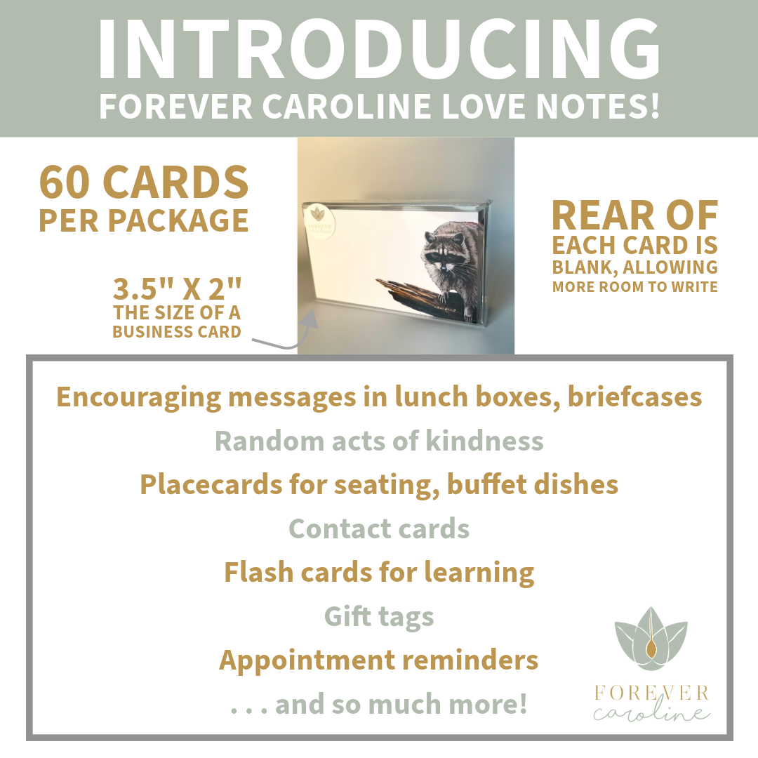Woodlands Raccoon "Love Notes" Pack of 60 Tiny Cards