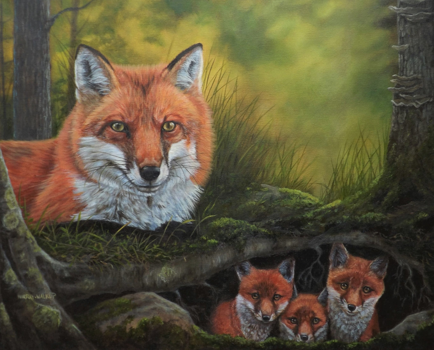 Wildlife All-Occasion Blank Boxed Notecard Set | 4 Card Set