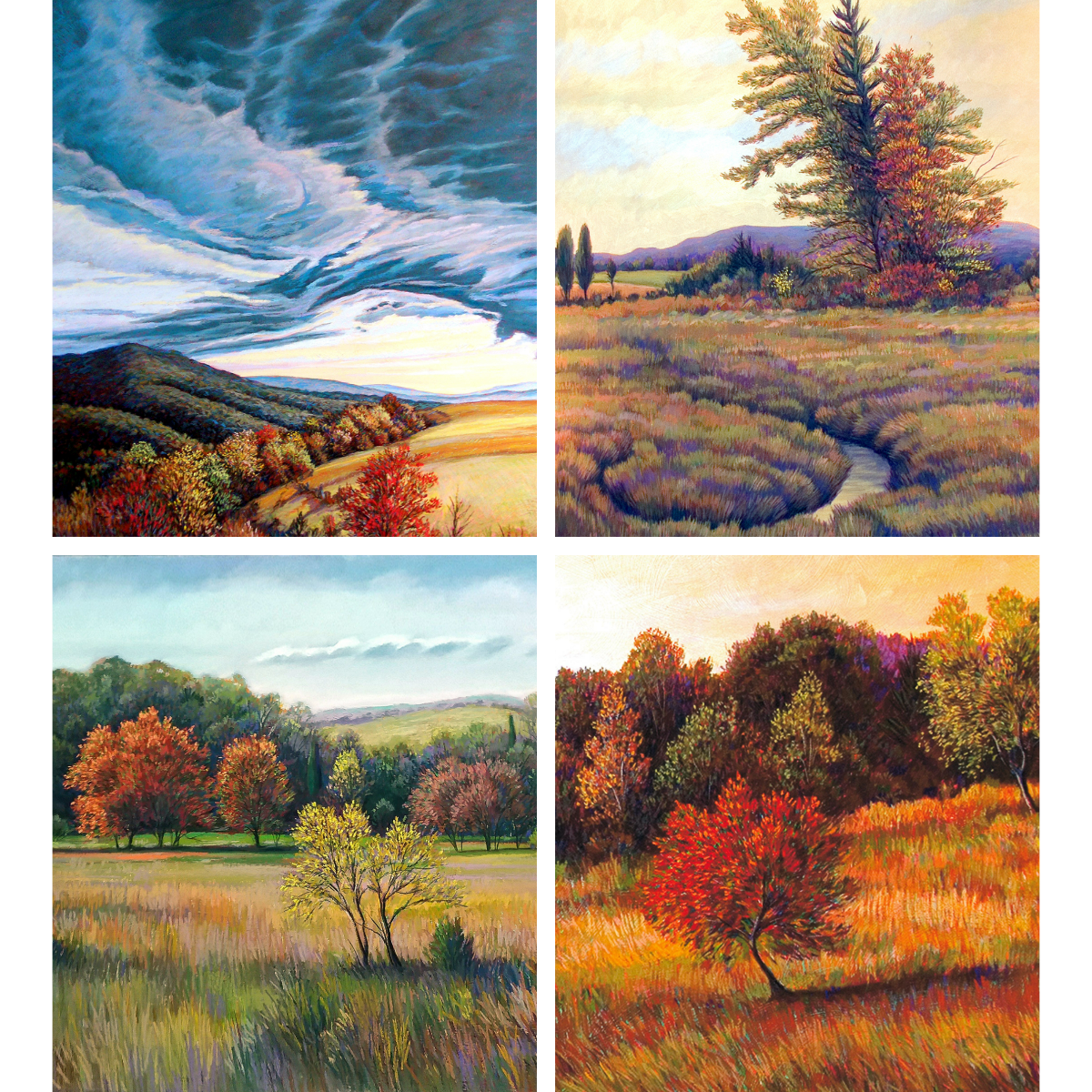 Landscape Art All-Occasion Blank Boxed Notecard Set | 4 Card Set