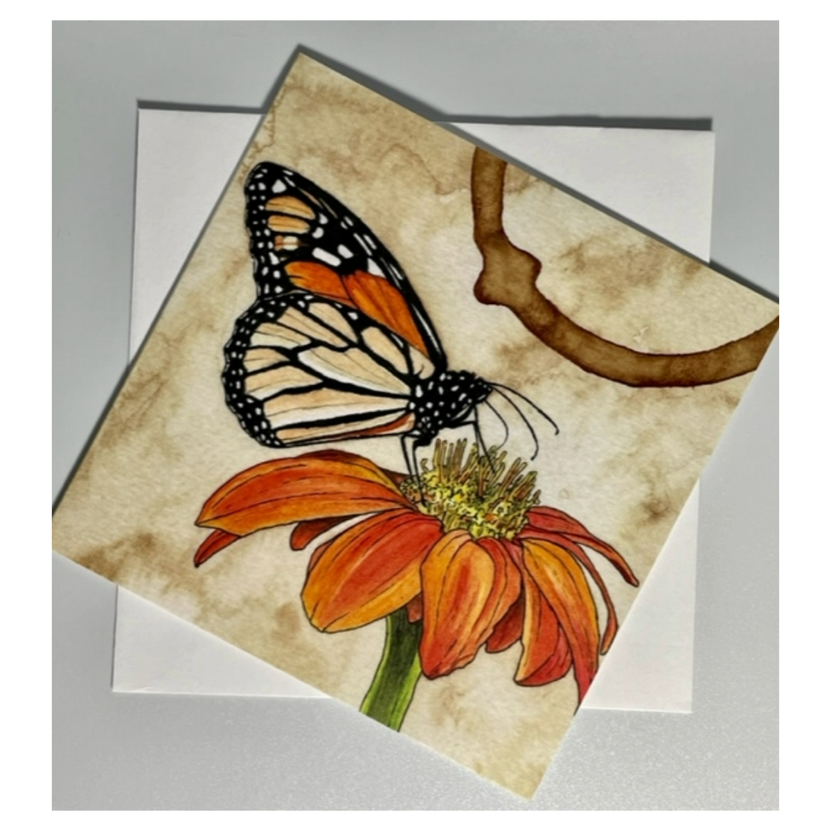 Monarch Butterfly All-Occasion Blank Notecard OR 4 Card Set