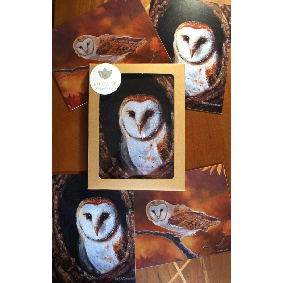 Owl All-Occasion Boxed Notecard Set | 4 Card Set
