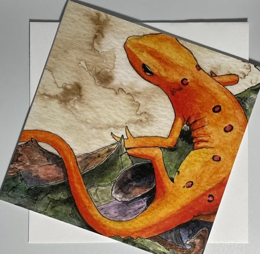 Orange Salamander All-Occasion Single Notecard OR 4 Card Set
