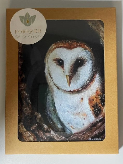 Owl All-Occasion Boxed Notecard Set | 4 Card Set