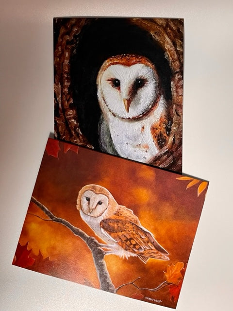 Owl All-Occasion Boxed Notecard Set | 4 Card Set