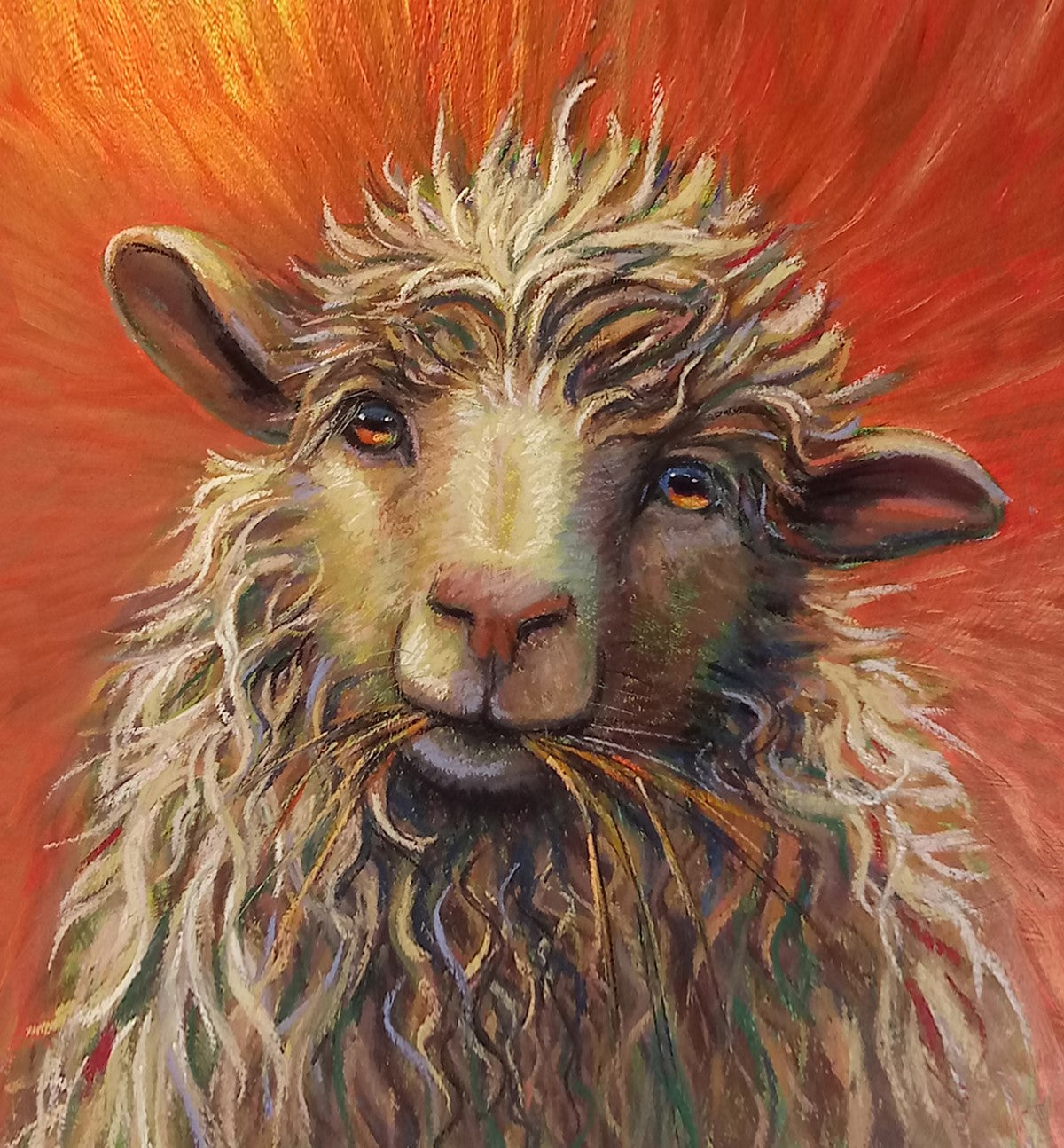 Sheep Variety All-Occasion Blank Boxed Notecard Set | 4 Card Set