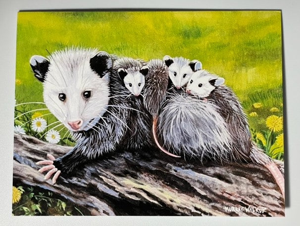 Wildlife All-Occasion Blank Boxed Notecard Set | 4 Card Set