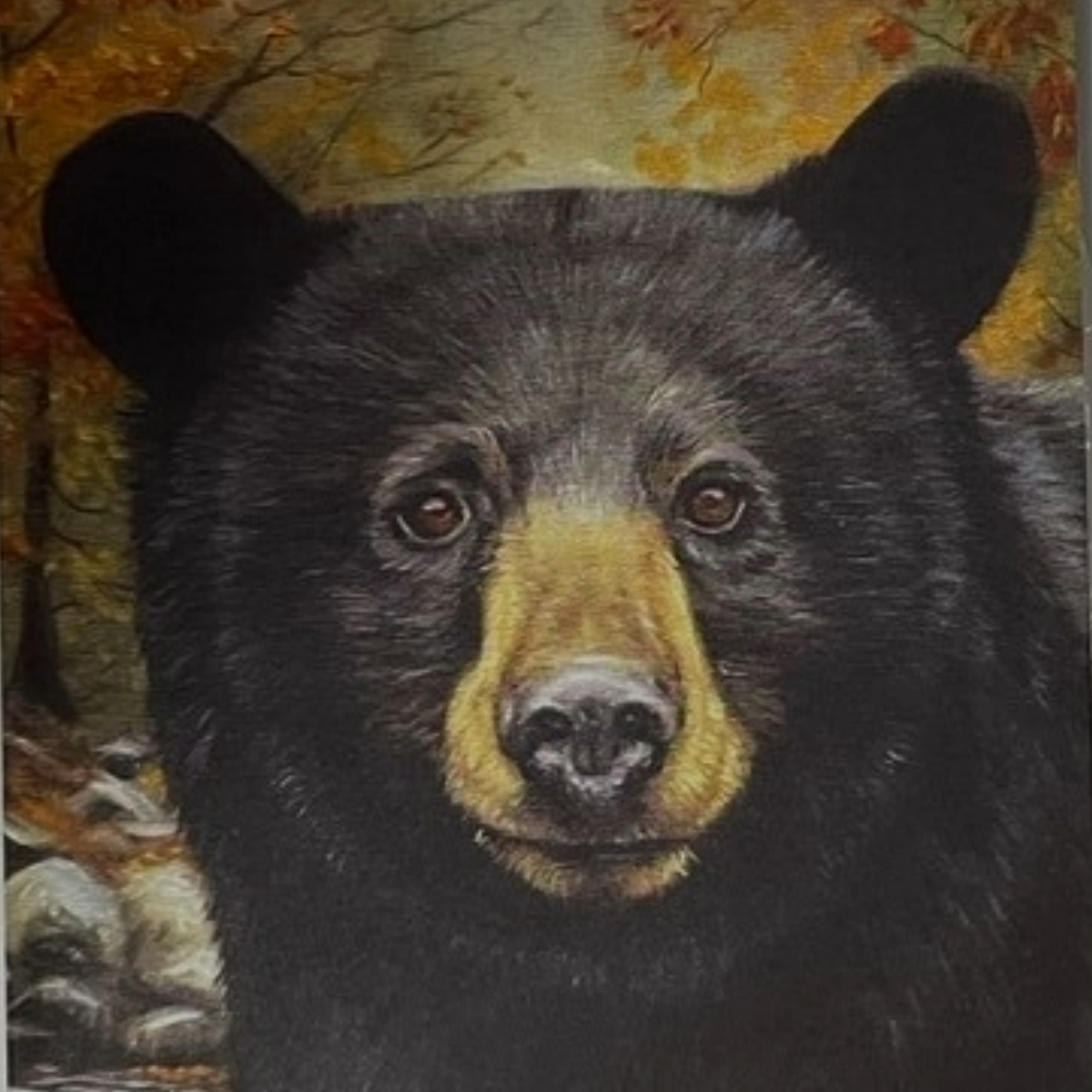 Black Bear Blank Single Notecard OR 4 Card Set