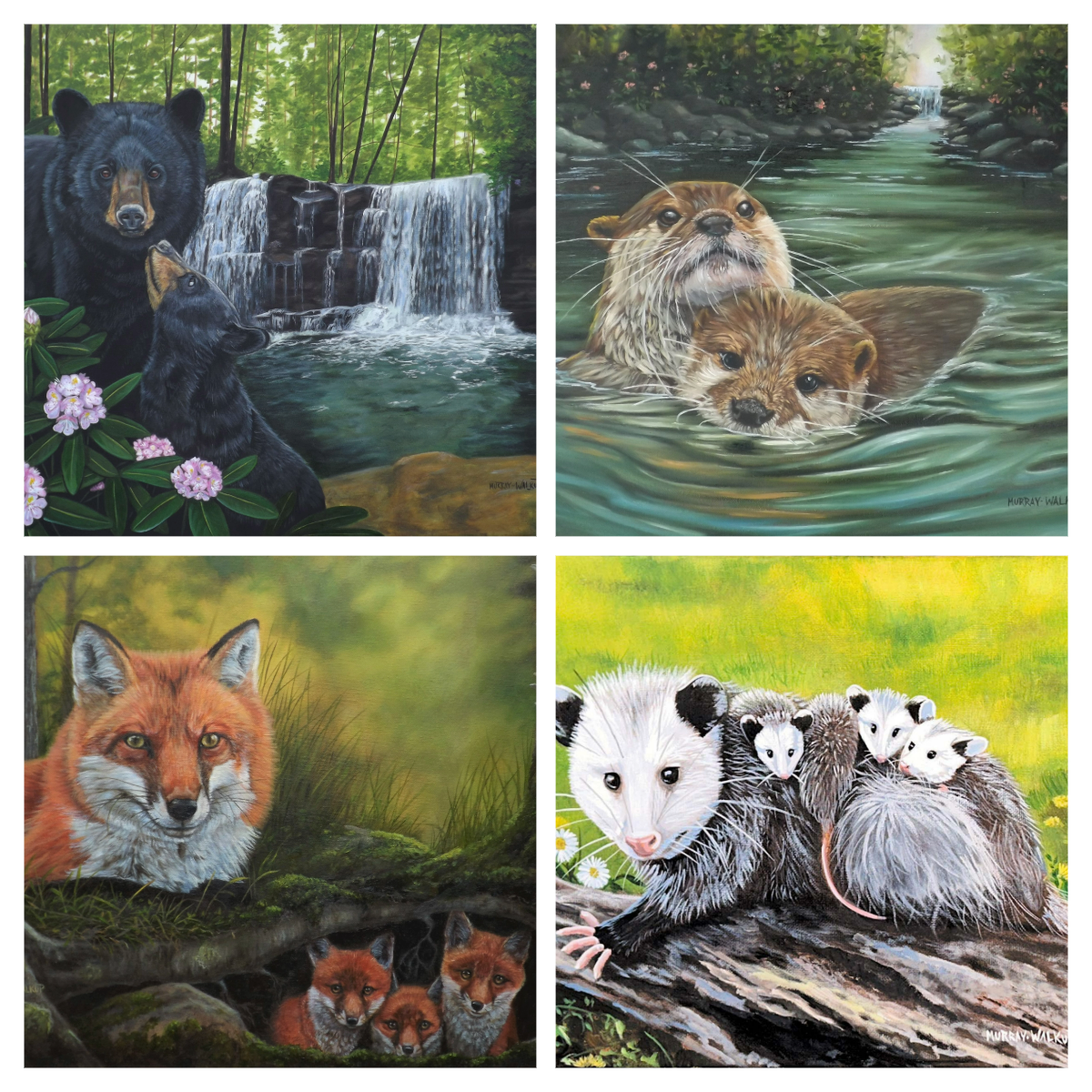 Wildlife All-Occasion Blank Boxed Notecard Set | 4 Card Set