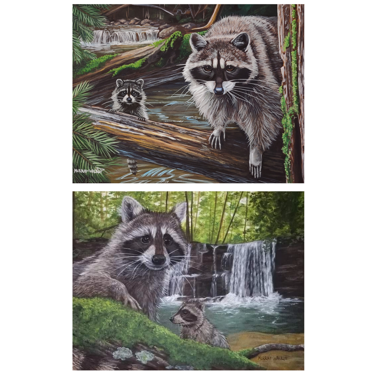 Raccoon Family All-Occasion Notecard Set | 4 Card Set