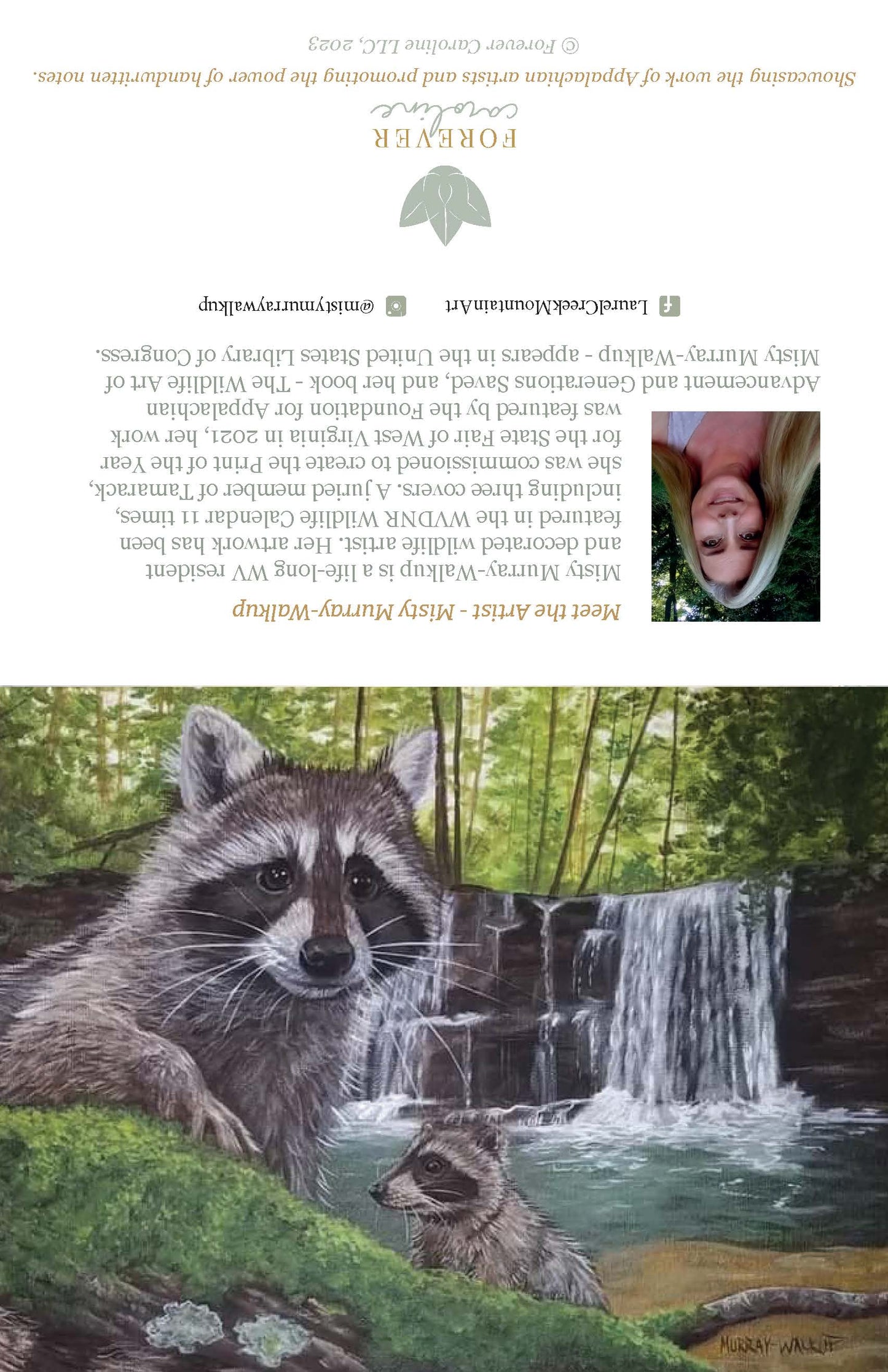 Raccoon Family All-Occasion Notecard Set | 4 Card Set