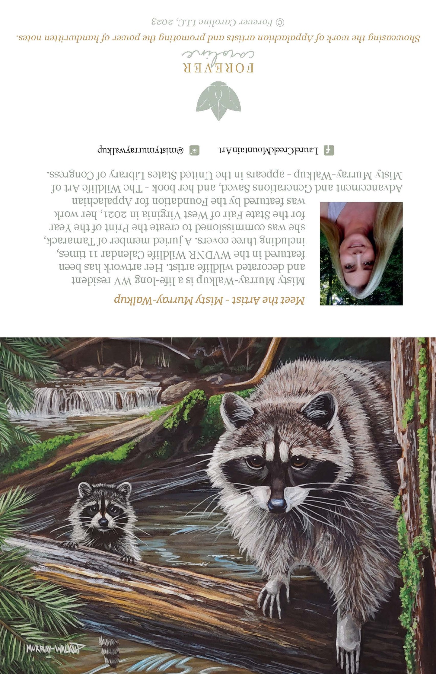 Raccoon Family All-Occasion Notecard Set | 4 Card Set