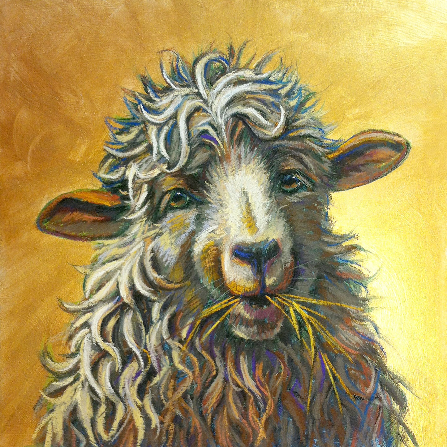 Crowder Sheep Portrait Notecard Set