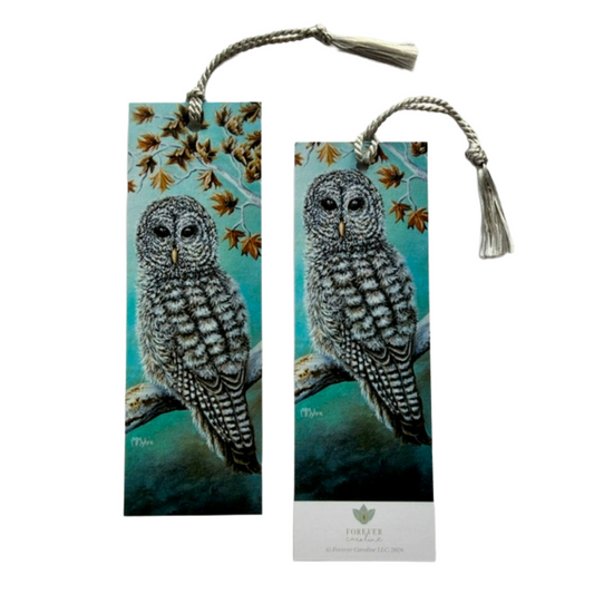 Owl on Sycamore Tree Bookmark