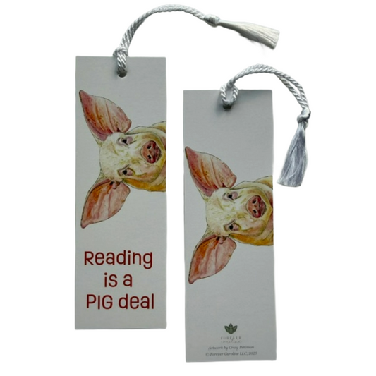 Bookmark w/ Whimsical Pig & "Reading is a PIG Deal!"