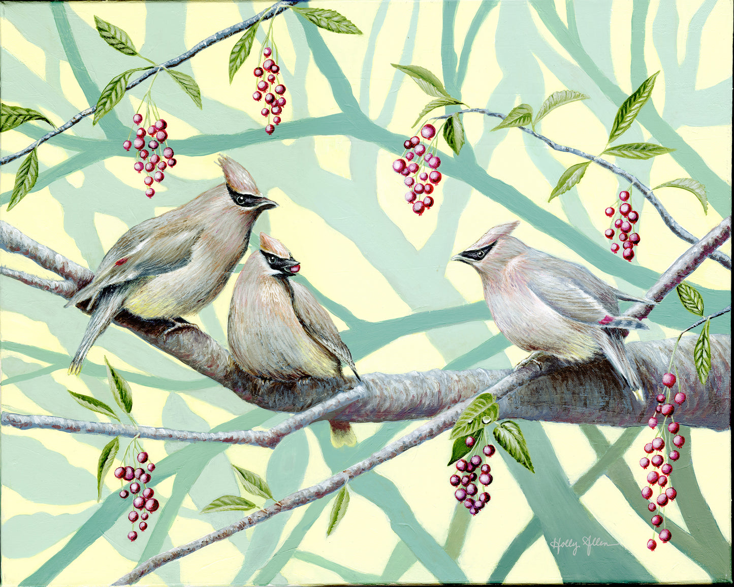 Allen Bird Lovers Notecard Set