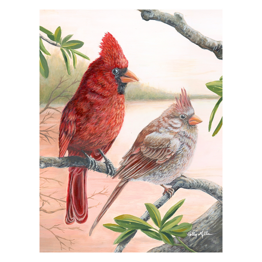 Colorful Cardinal Birds Fine Art Notecard | Single or Boxed Set of 4, 8 or 20