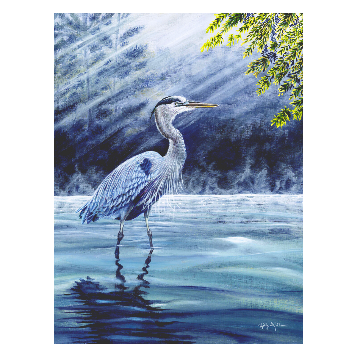 Great Blue Heron Fine Art Notecard | Single or Boxed Set of 4, 8 or 20