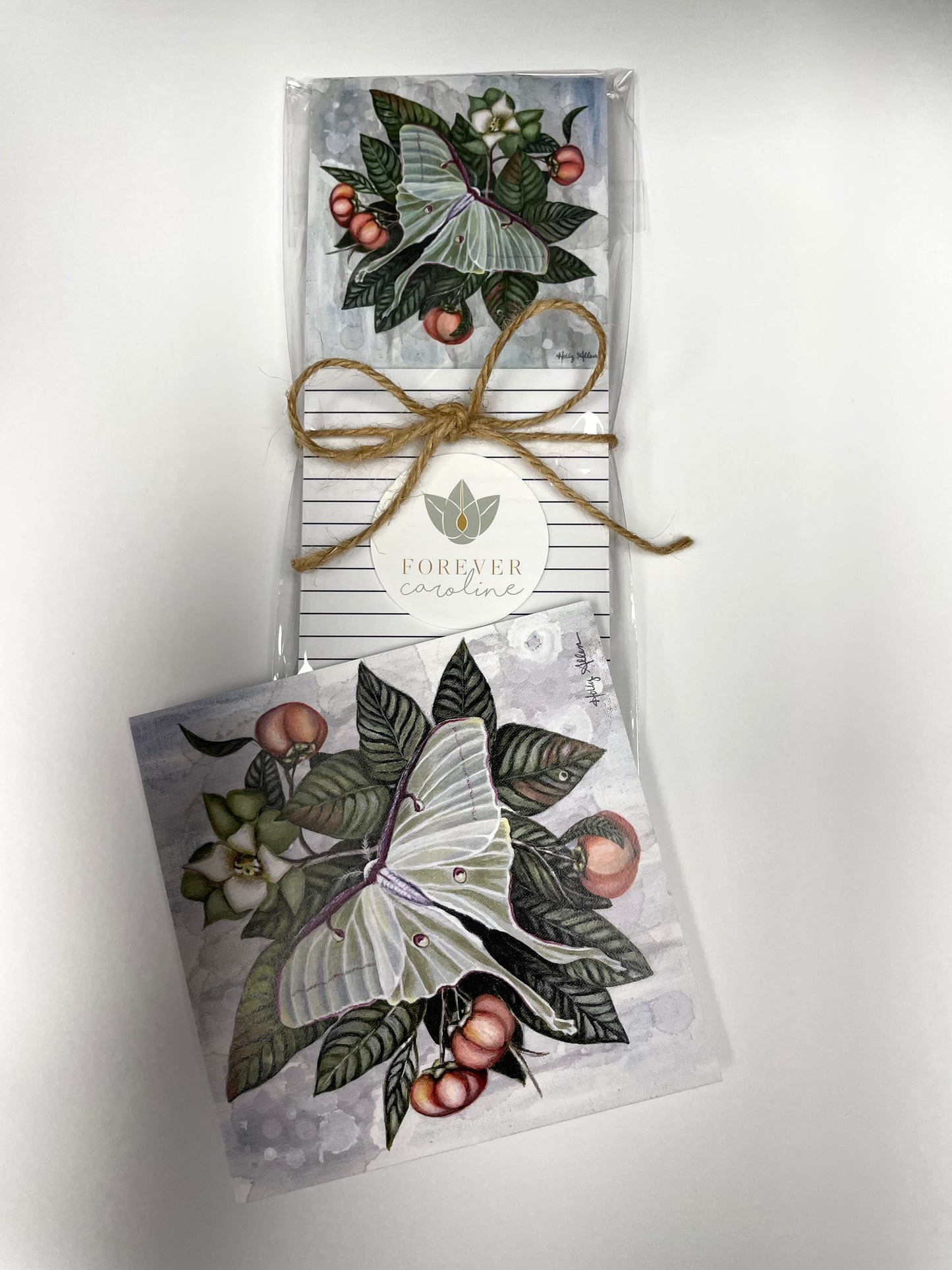 Luna Moth and Persimmon Magnetic Notepad | Botanical Stationery