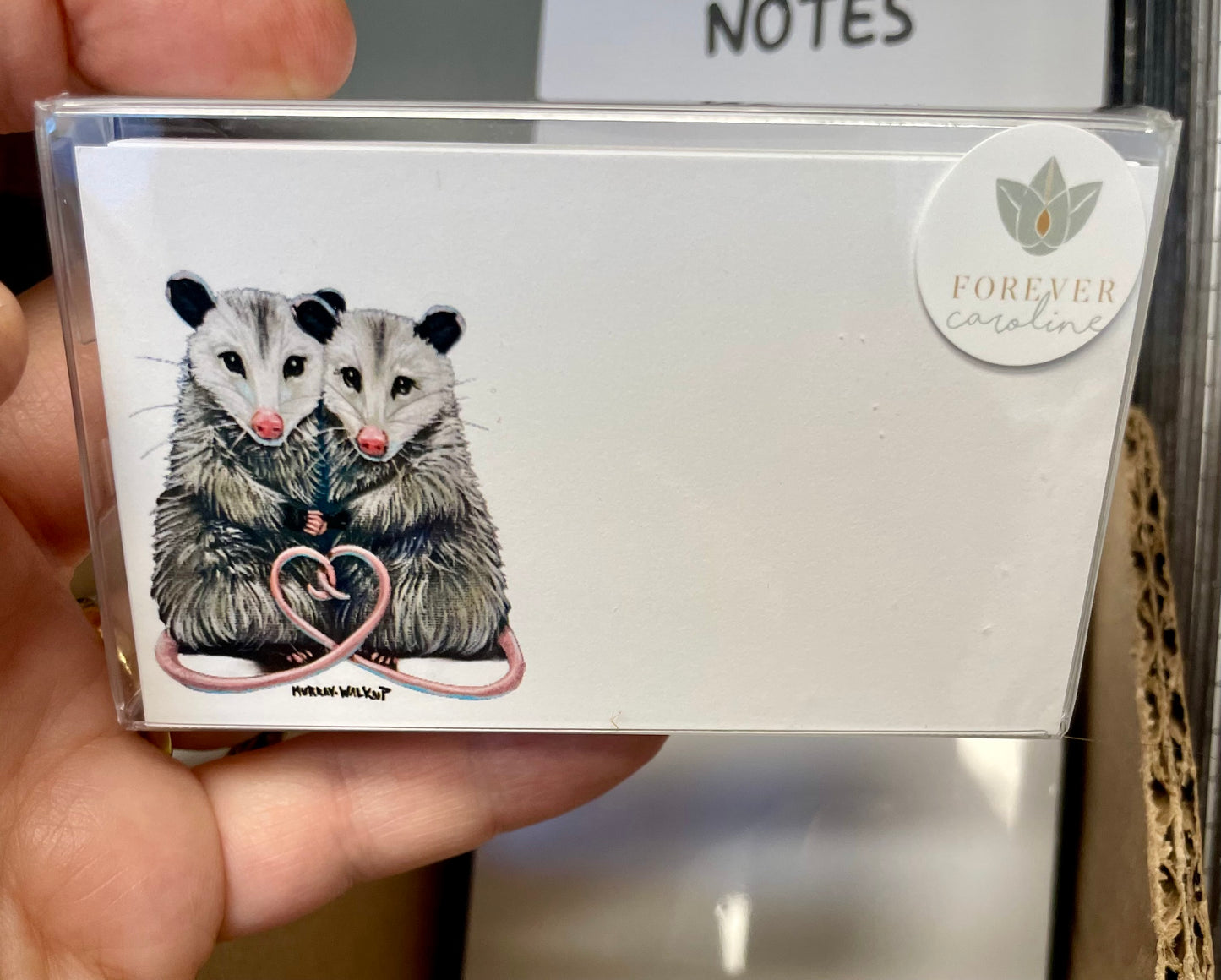 Opossum Pair "Love Notes" Pack of 60 Tiny Cards | Valentine's Day Cards