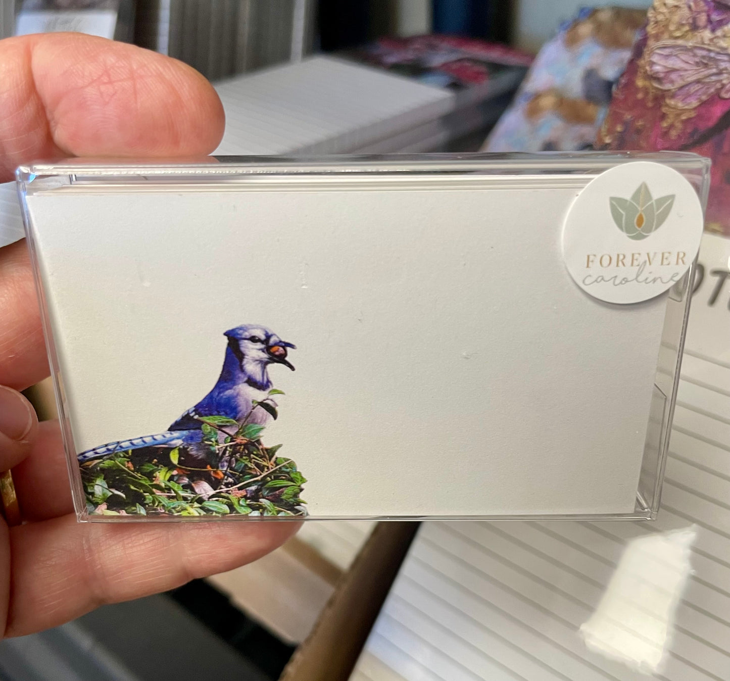 Blue Jay "Love Notes" Pack of 60 Tiny Bird Cards