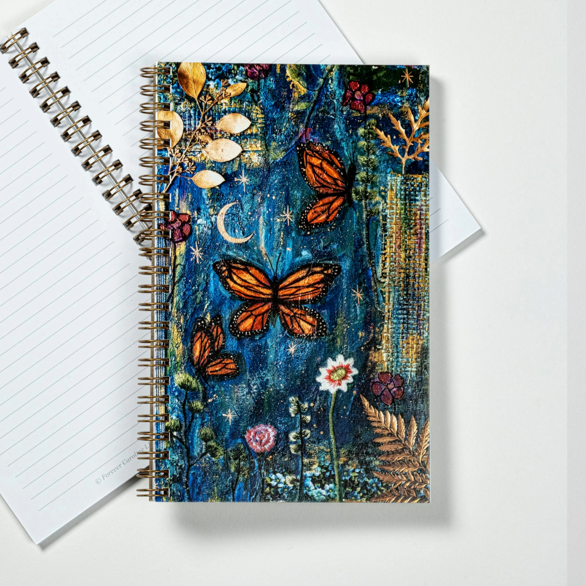 Littlejohn Butterflies Journal