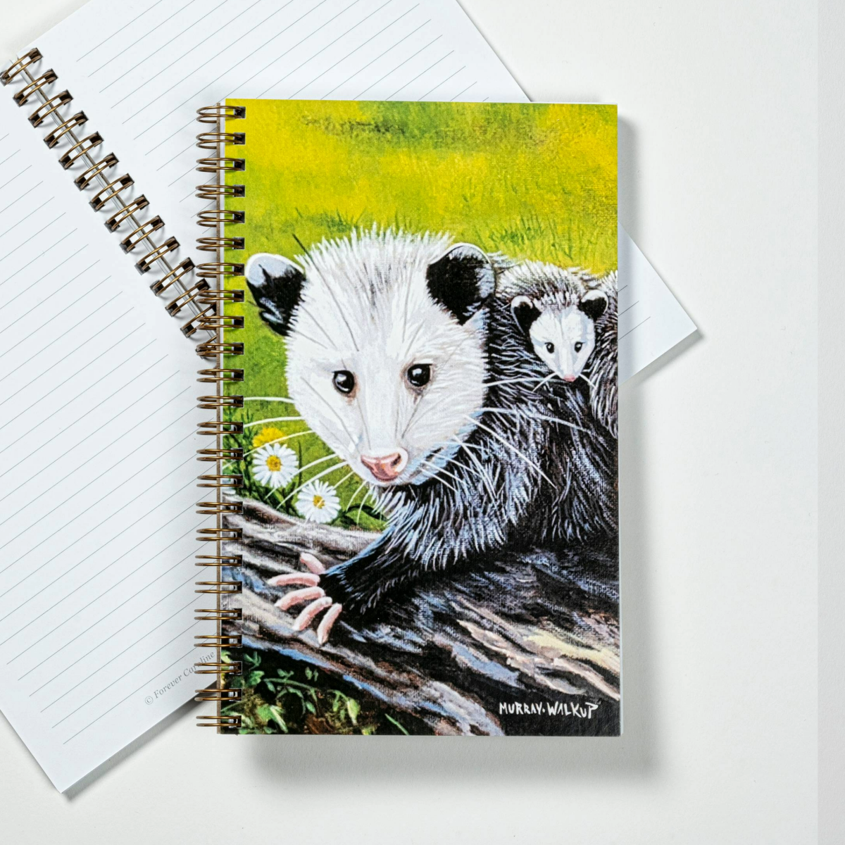 Walkup Opossum Journal