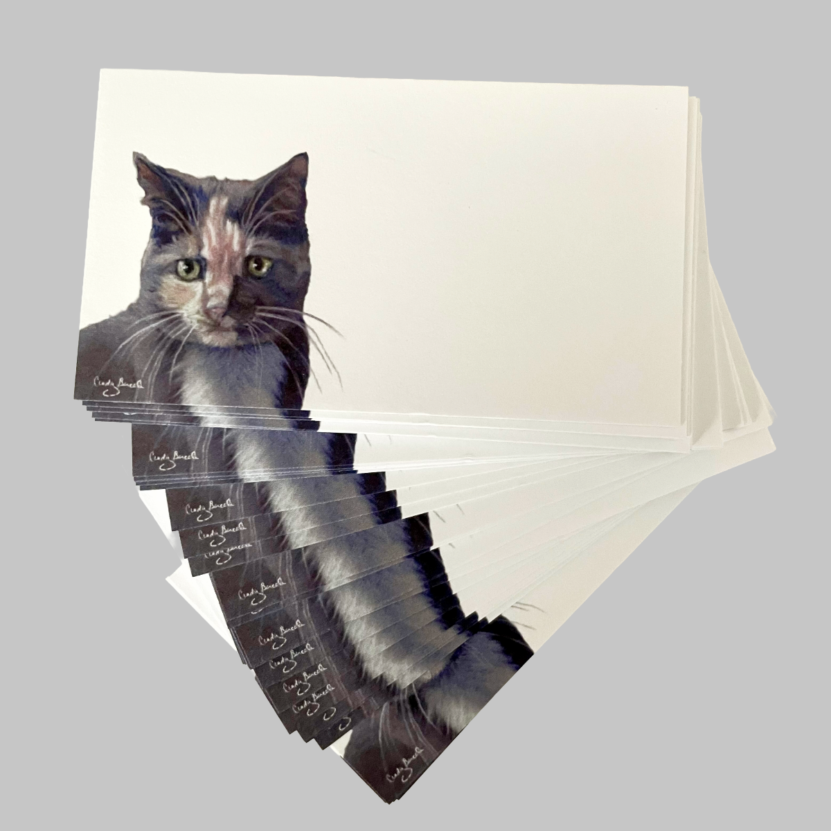 Gray Tabby Cat “Love Notes” Pack of 60 Tiny Cards
