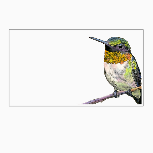 Hummingbird "Love Notes" Pack of 60 Tiny Cards