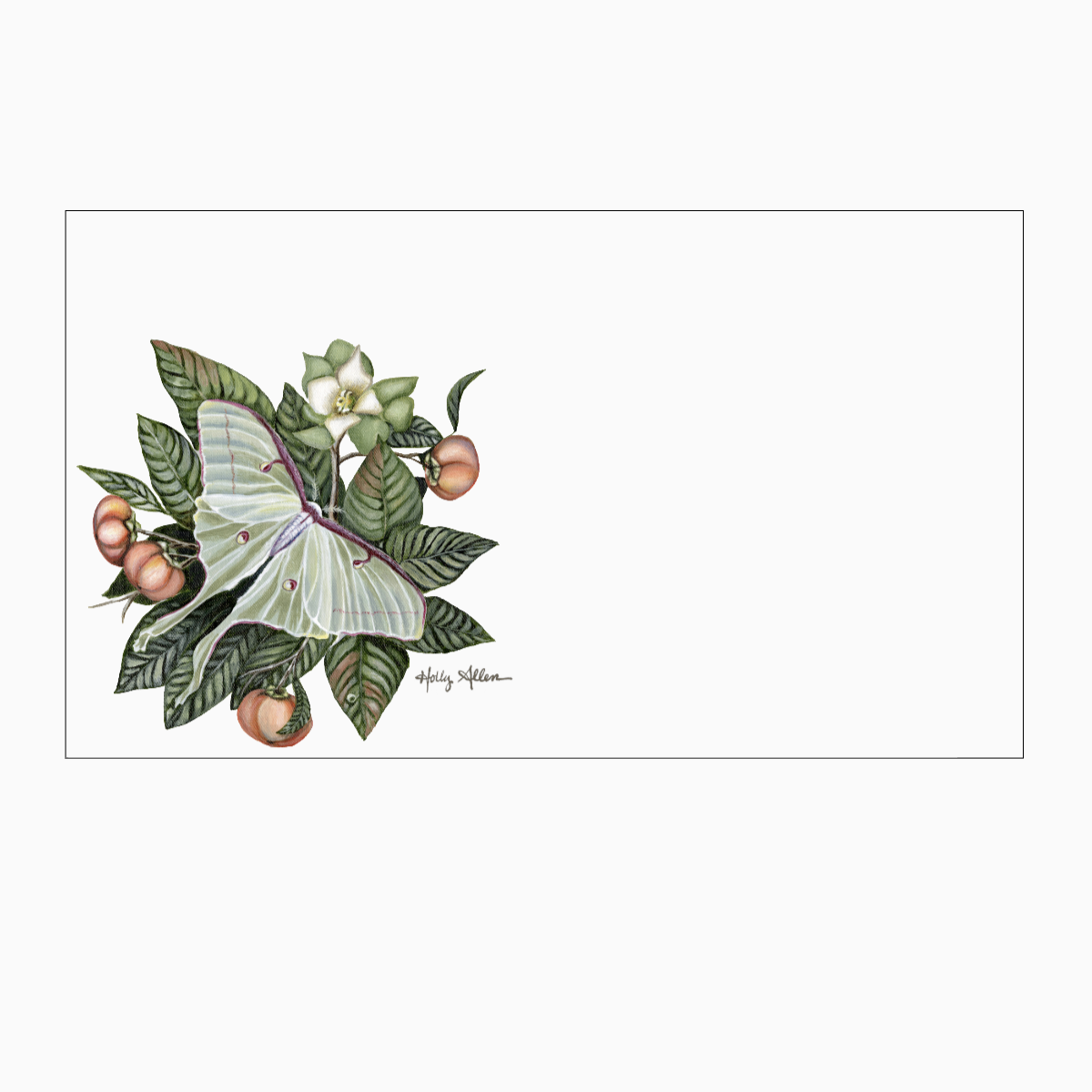 Luna Moth "Love Notes" Pack of 60 Tiny Cards
