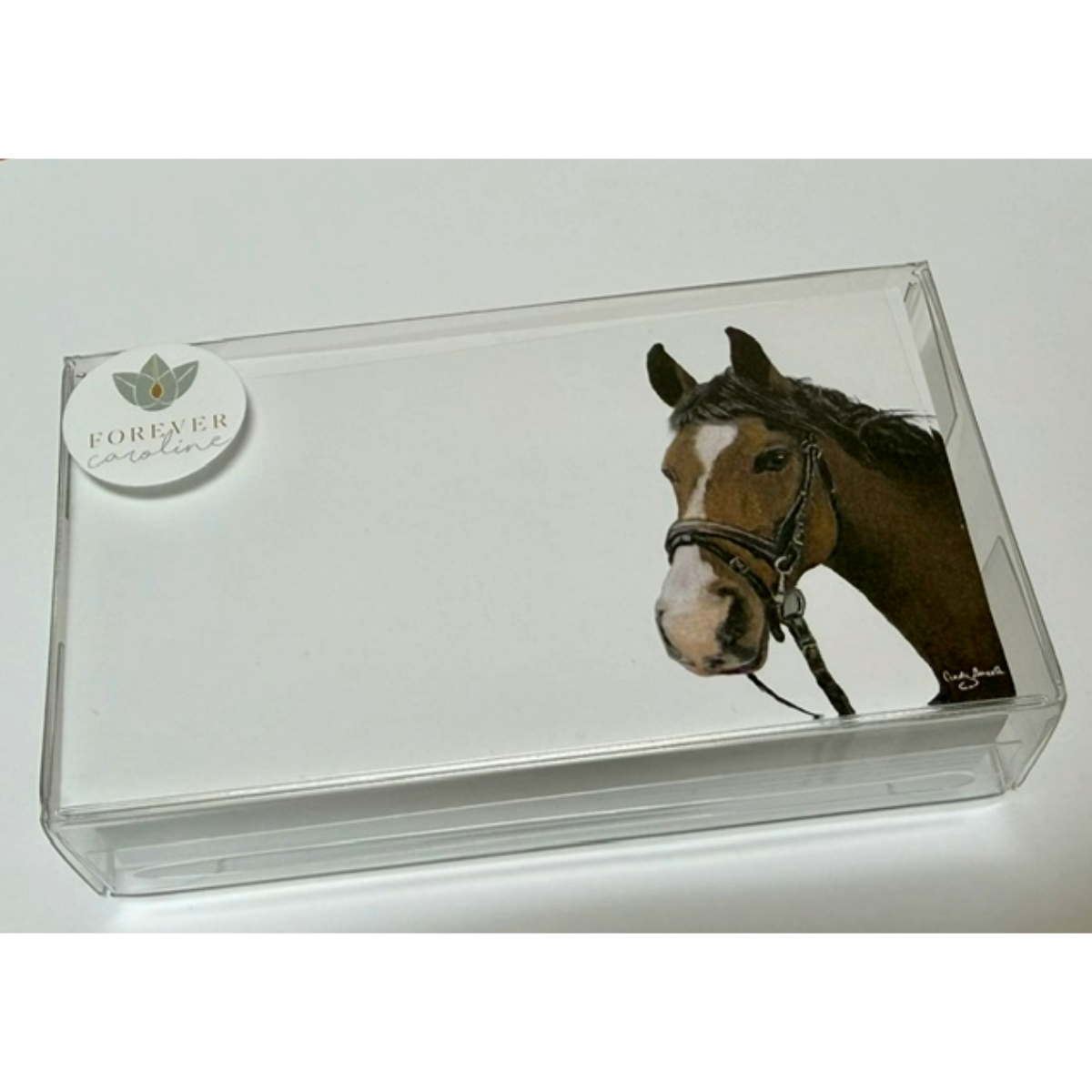 Horse “Love Notes” Pack of 60 Tiny Cards