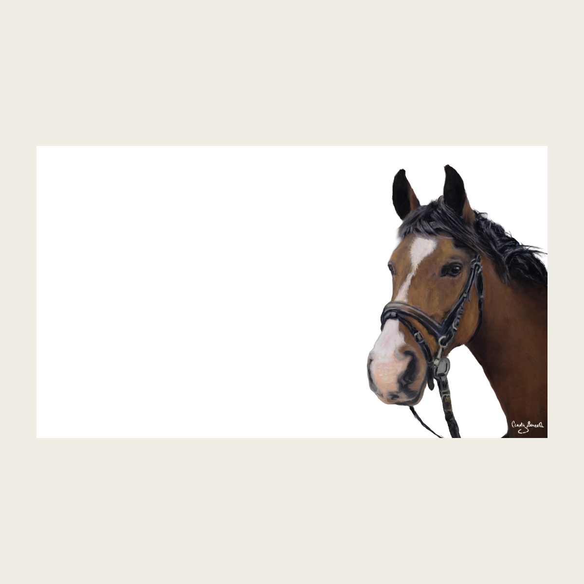 Horse “Love Notes” Pack of 60 Tiny Cards