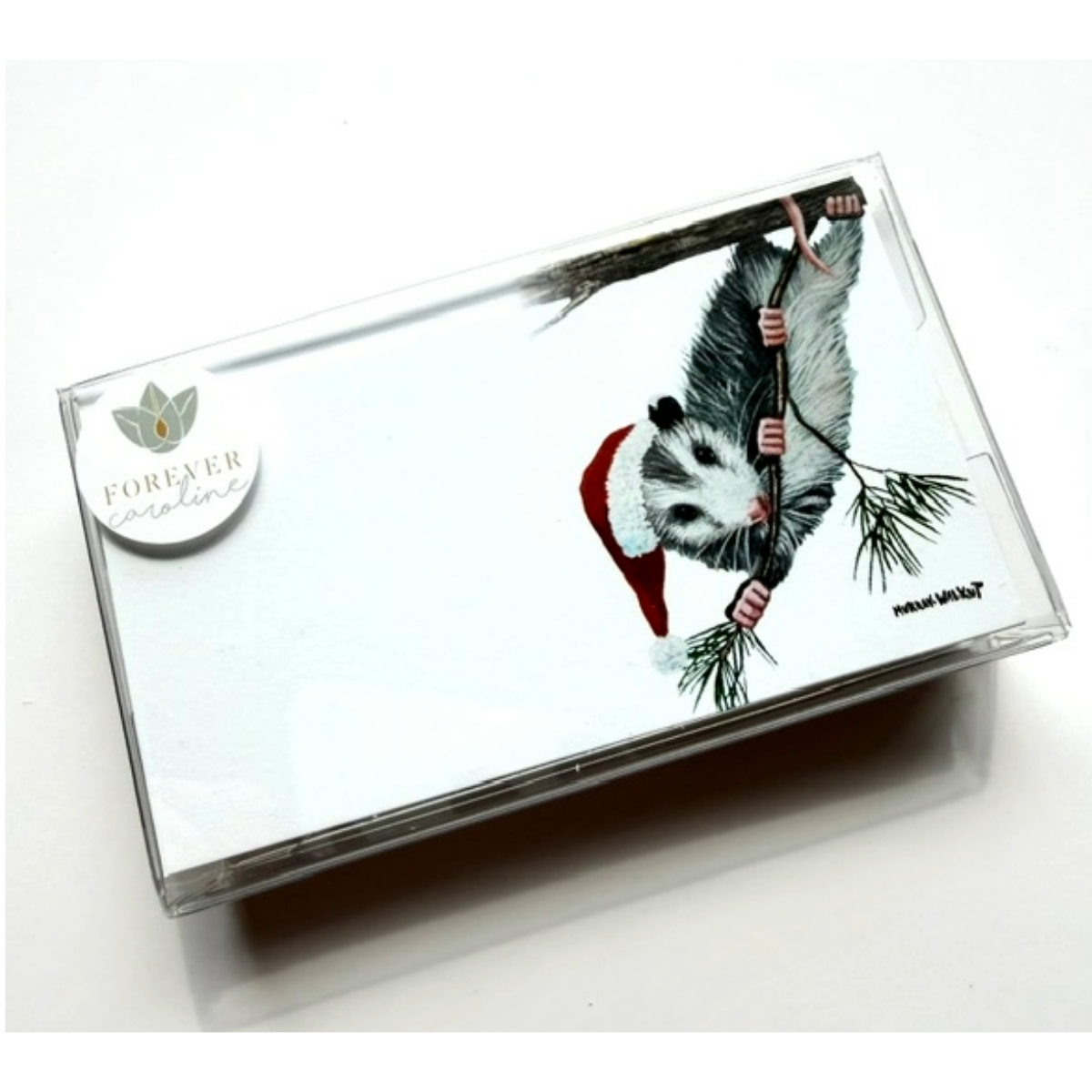 Whimsical Opossum Santa "Love Notes" Pack of 60 Tiny Cards